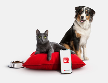 Sparkasse Protection Pet, schütze deinen vierbeinigen Freund