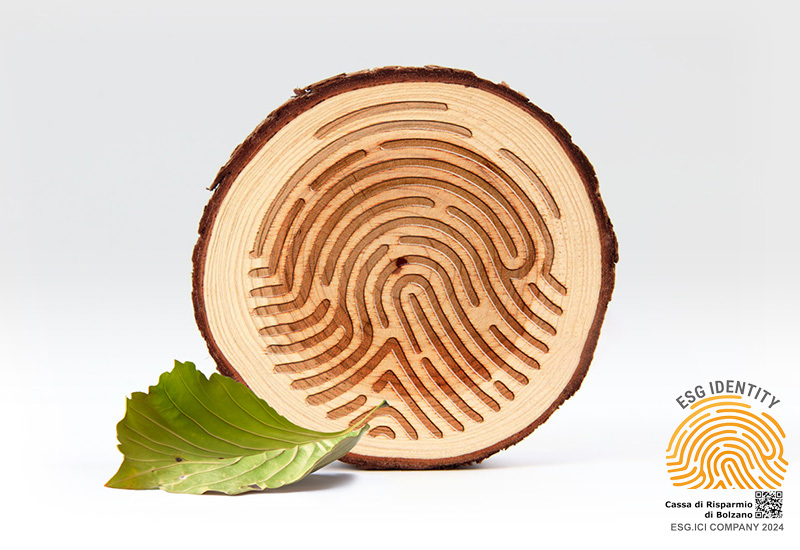 Sparkasse si riconferma “ESG Identity - ICI Company 2024”