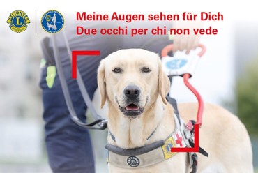 Nuova azione di beneficenza