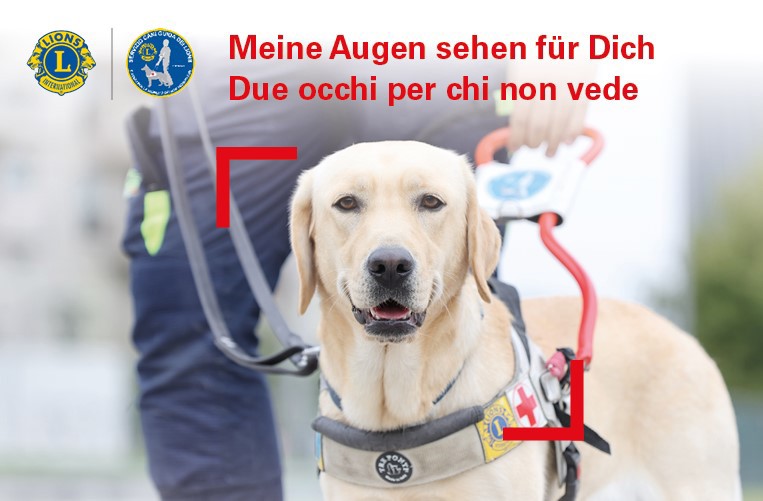 Nuova azione di beneficenza