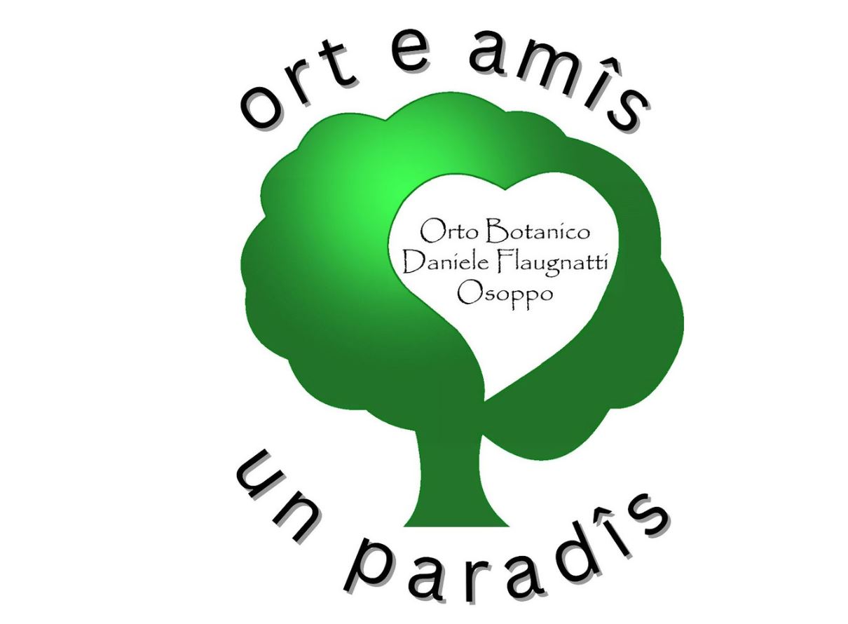 Cos’è l’autismo?