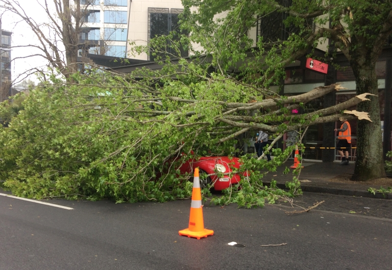 Sospensione mutui a seguito eventi meteo in Friuli-Venezia Giulia