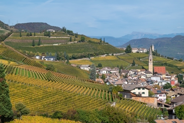 Legame con il territorio: Termeno e la Cassa di Risparmio