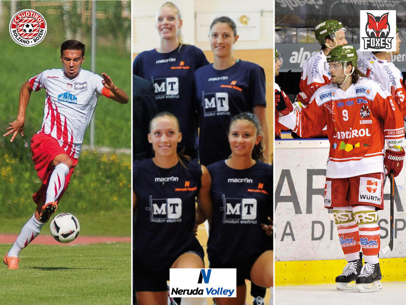 Drei Aushängeschilder unseres Landes