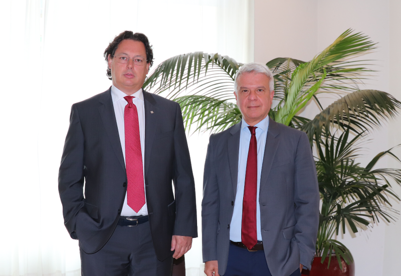 Nasce Sparkasse Energy