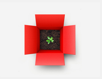 Sparkasse box, tasso di interesse favorevole per somme sul conto corrente non utilizzate